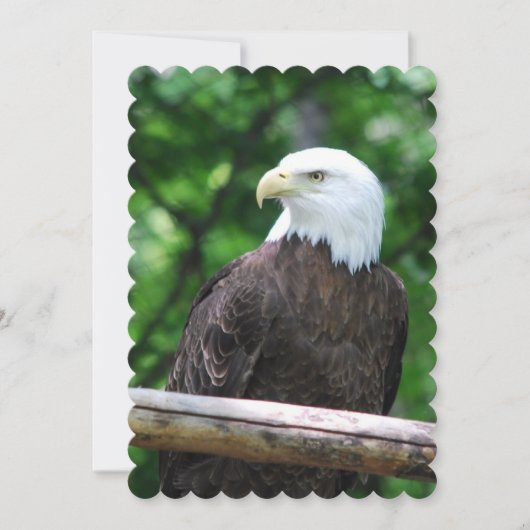 Invitation Aigle (Devant)