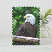 Invitation Aigle (Debout devant)