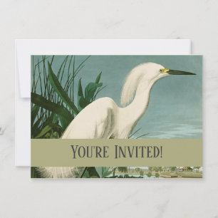 Invitation Aigrette neigeuse d'Audubon oiseau Héron blanc orn