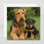 Invitation Airedale Terrier Avec Chiot (Devant / Derrière)