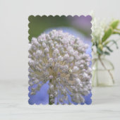 Invitation Allium fleurissant blanc (Debout devant)