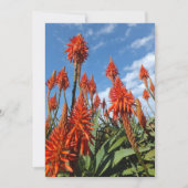 Invitation Aloe Arborescens invitation, personnaliser (Devant)