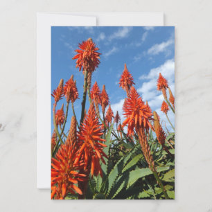 Invitation Aloe Arborescens invitation, personnaliser