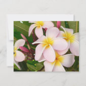 Invitation Aloha Hawaii Frangipani Blossoms Fête de l'mariée (Dos)