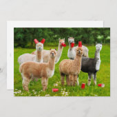 Invitation Alpacas Avec Coupes Rouges (Devant / Derrière)