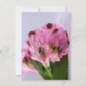 Invitation Alstroemeria rose-4 (Devant)