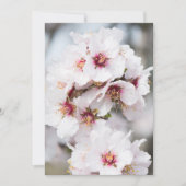 Invitation Amandes en fleurs (Devant)