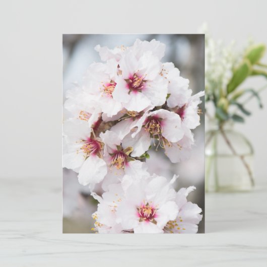 Invitation Amandes en fleurs (Debout devant)