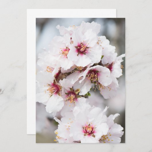 Invitation Amandes en fleurs (Devant / Derrière)