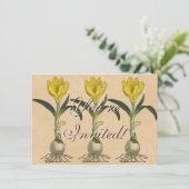 Invitation Amaryllis Tulip Jardin Botanique Fleur (Debout devant)