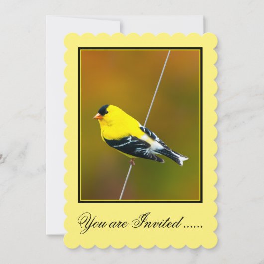 Invitation American Goldfinch - Photo originale (Devant)