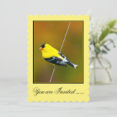 Invitation American Goldfinch - Photo originale (Debout devant)