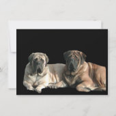 Invitation Amis de la Mastiff (Dos)