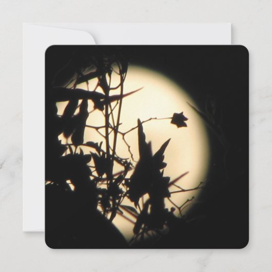 Invitation Amour dans la lumière scintillante de la lune (Devant)