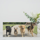 Invitation Amoureux des chiens (Debout devant)