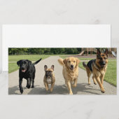 Invitation Amoureux des chiens (Devant / Derrière)