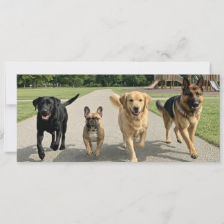 Invitation Amoureux des chiens
