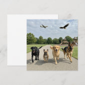 Invitation Amoureux des chiens (Devant / Derrière)