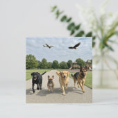Invitation Amoureux des chiens (Debout devant)