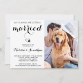 Invitation Amoureux des chiens photo moderne simple Mariage a (Devant)