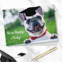 Amusant French BullDog Photo Party