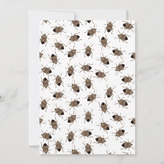 Invitation Amusant petit puant Brown puant Bug Anniversaire (Dos)