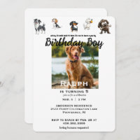 Amusant Tous Mes Amis Animaux de compagnie Photo A