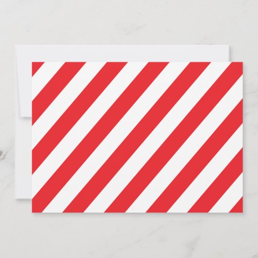 Invitation Amusement de fête de célébration de vacances de (Dos)