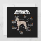 Invitation Anatomie D'Un Chien Weimaraner (Devant)
