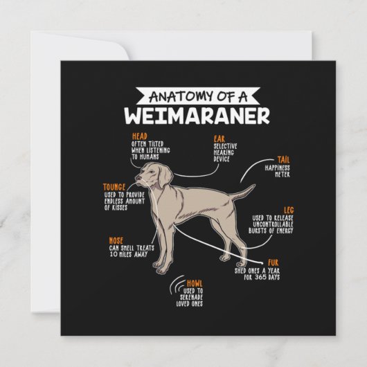 Invitation Anatomie D'Un Chien Weimaraner (Devant)