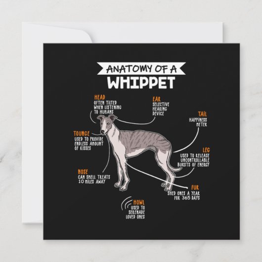 Invitation Anatomie D'Un Chien Whippet (Devant)