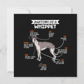 Invitation Anatomie D'Un Chien Whippet
