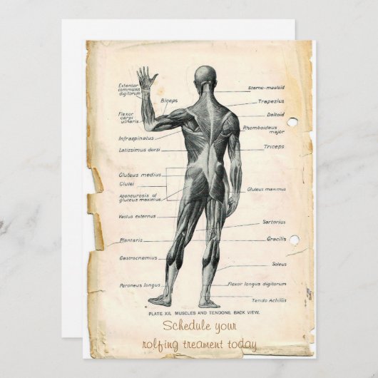 Invitation Anatomie Posterior (Devant / Derrière)