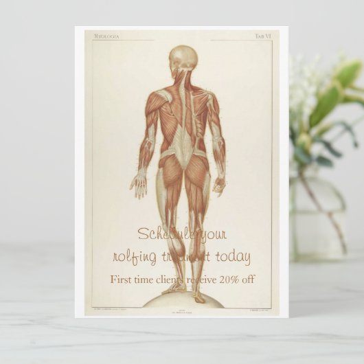 Invitation Anatomie Posterior (Debout devant)