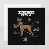 Invitation Anatomy Of A Vizsla Dog (Devant / Derrière)