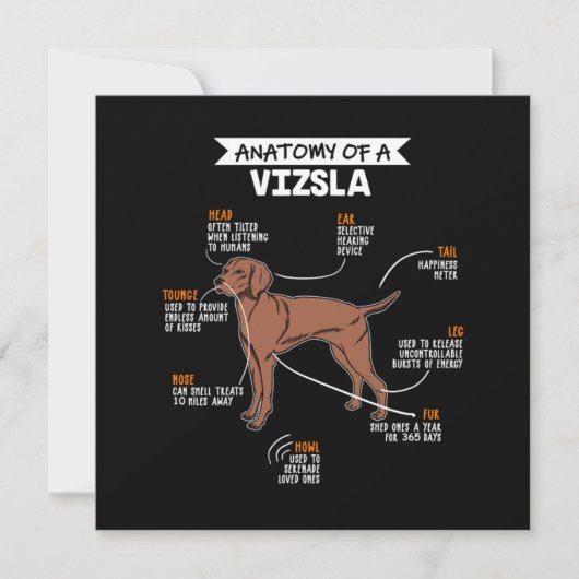 Invitation Anatomy Of A Vizsla Dog (Devant)
