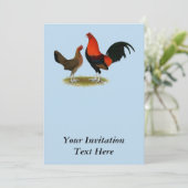 Invitation Ancien jeu anglais Bantams : BB Red Pair (Debout devant)