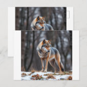 Invitation and announcement  (Devant / Derrière)