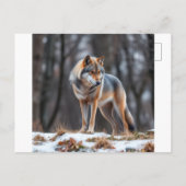 Invitation and announcement  (Dos)