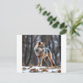 Invitation and announcement  (Debout devant)