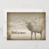 Invitation Andouillers de faune de grand jeu d'élans épousant (Dos)