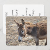 Invitation Âne adorable (Devant / Derrière)