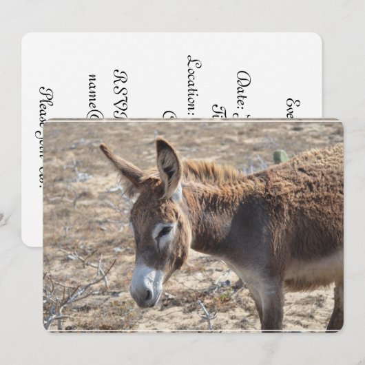 Invitation Âne adorable (Devant / Derrière)