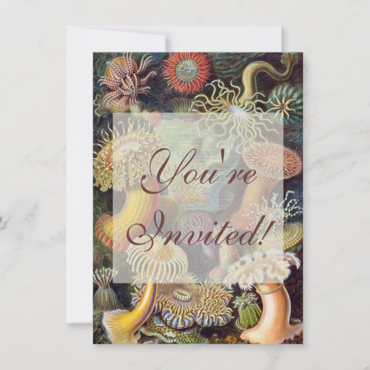 Invitation Anémone de mer Nature scientifique Océan (Devant)