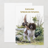 Invitation Anglais Springer Spaniel (Devant / Derrière)