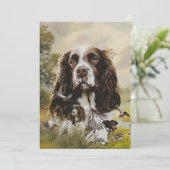 Invitation Anglais Springer Spaniel (Debout devant)