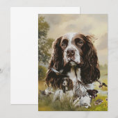 Invitation Anglais Springer Spaniel (Devant / Derrière)