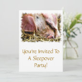 INVITATION ANIMAUX AGRICOLES, PIGS (Debout devant)