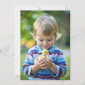 Invitation Animaux de ferme appelant toute la fête 1er annive (Dos)