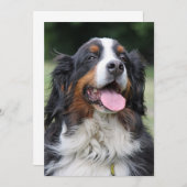 Invitation anniversaire de bernèse (Devant / Derrière)